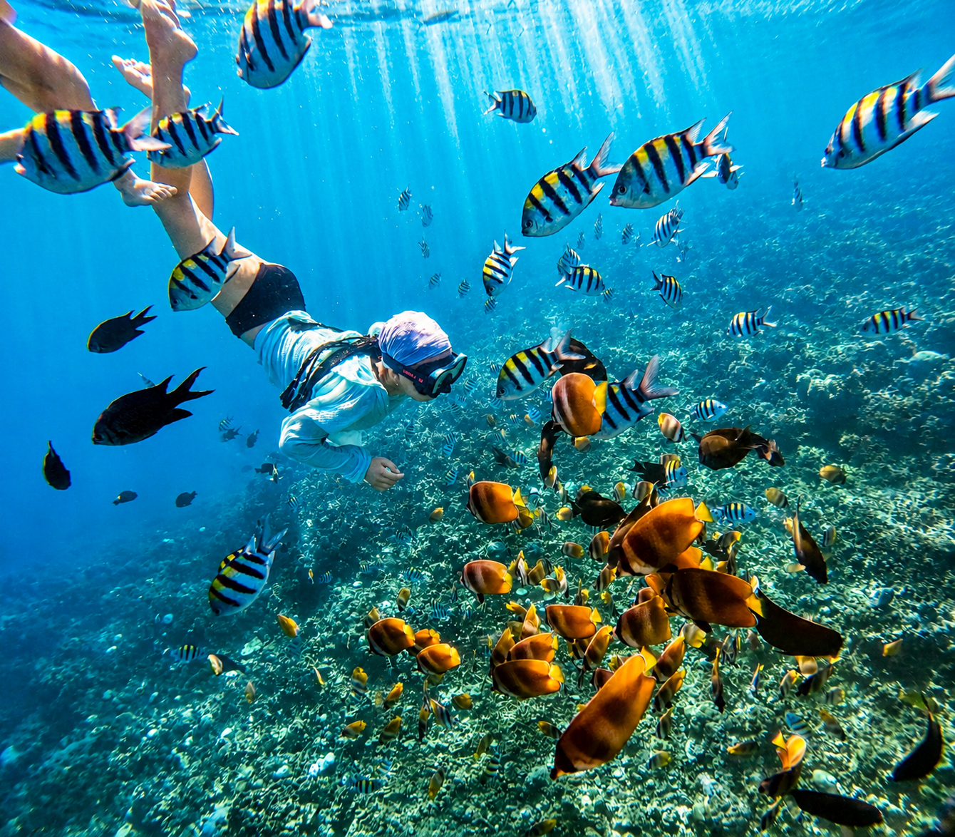Coral Reef